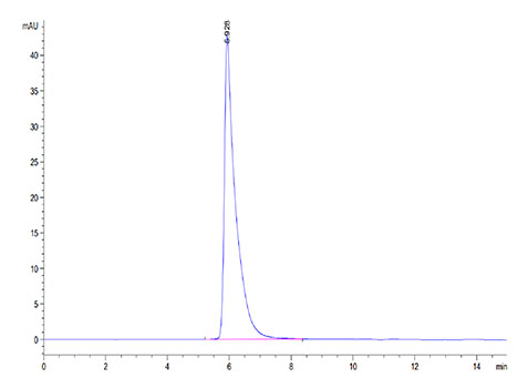 Recombinant Cynomolgus CRTAM/CD355 Protein