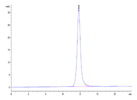 Recombinant Mouses LAMP5 Protein