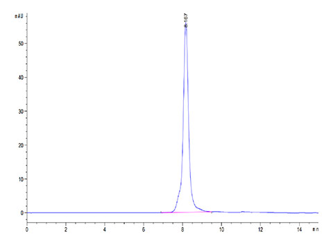 Recombinant Human OSCAR Protein