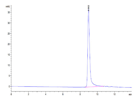 Recombinant Cynomolgus IL-17F Protein