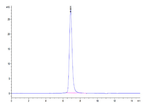 Recombinant Cynomolgus SIRP-alpha/CD172a Protein