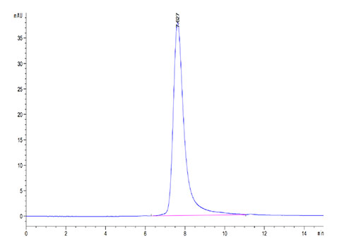 Recombinant Cynomolgus Fc gamma RIII/CD16 Protein