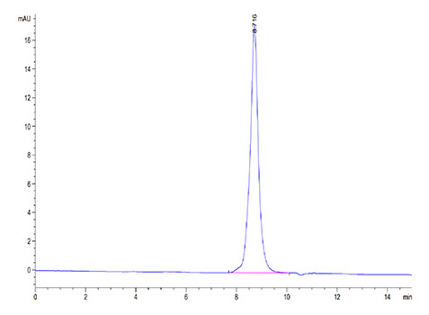 Recombinant Cynomolgus/Rhesus macaque TNFRSF9/4-1BB Protein