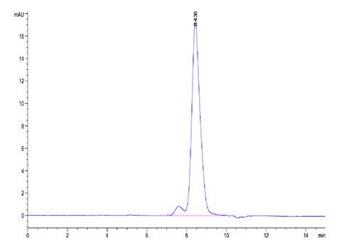 Recombinant Cynomolgus B7-H2/ICOSLG/CD275 Protein