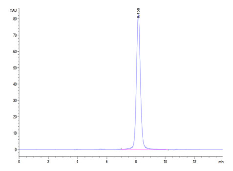 Recombinant Cynomolgus Guanylyl cyclase C/GUCY2C Protein