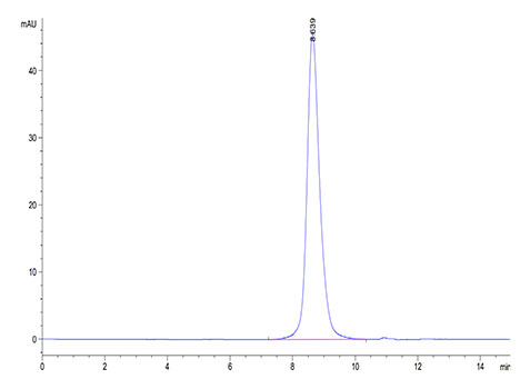 Recombinant Cynomolgus B7-H6/NCR3LG1 Protein
