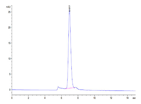 Recombinant Cynomolgus LDLR Protein