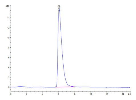 Recombinant Cynomolgus Glypican-3/GPC3 Protein