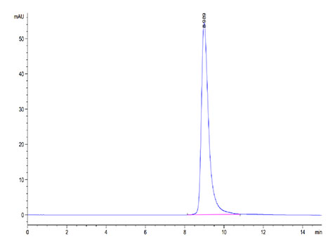 Recombinant Cynomolgus LILRB4/ILT-3/CD85k Protein