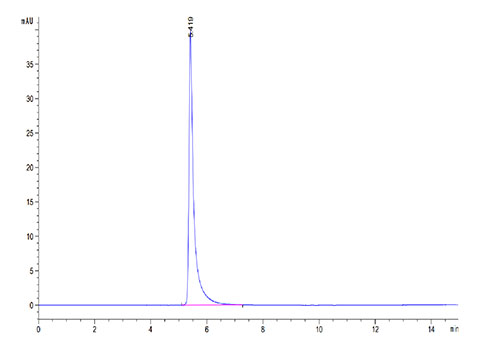 Recombinant Mouse Integrin alpha V beta 6 (ITGAV&ITGB6) Heterodimer Protein