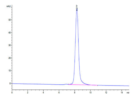 Recombinant Cynomolgus LILRA4/ILT-7/CD85g Protein
