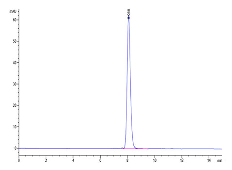 Recombinant Cynomolgus Nectin-4/PVRL4 Protein