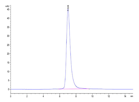 Recombinant Human LILRA4/ILT-7/CD85g Protein