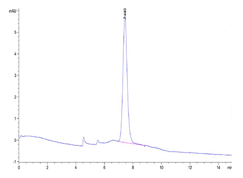 Recombinant Human KIR3DL3 Protein