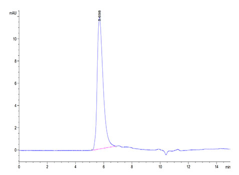 Recombinant Human Integrin alpha V beta 6 (ITGAV&ITGB6) Heterodimer Protein
