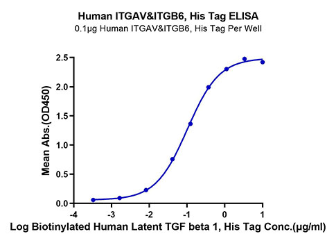 Recombinant Human Integrin alpha V beta 6 (ITGAV&ITGB6) Heterodimer Protein