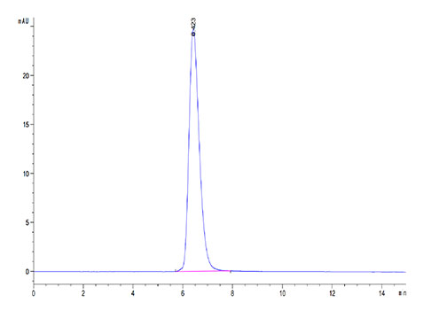Recombinant Canine CD28 Protein