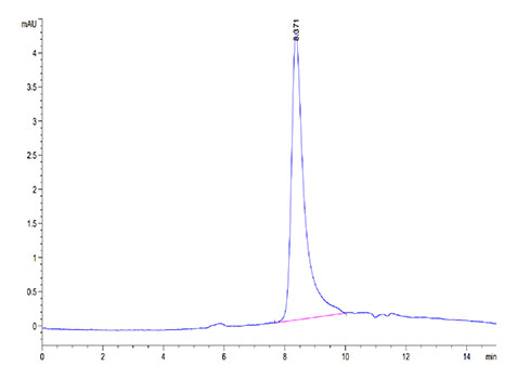 Recombinant Cynomolgus IL-31 Protein
