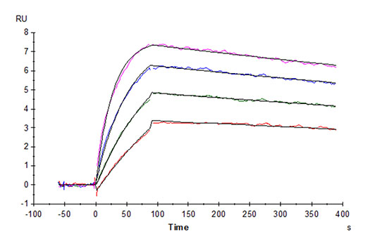 Recombinant Cynomolgus IL-31 Protein