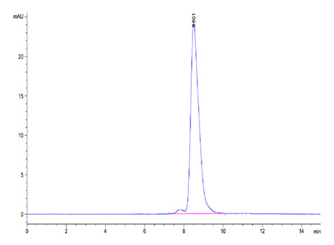 Recombinant Human ENPP-3(558-875) Protein