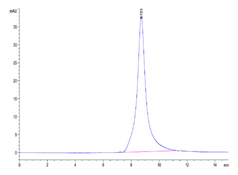 Recombinant Mouse MME/Neprilysin/CD10 Protein