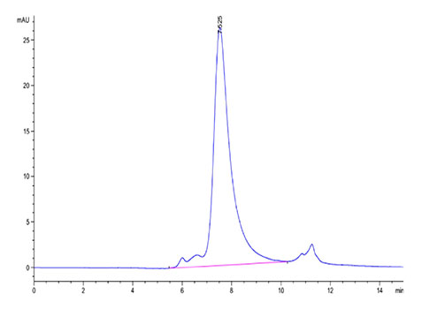 Recombinant Human NKp46/NCR1/CD335 Protein