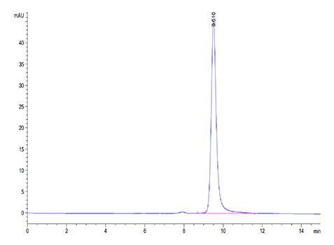 Recombinant Human ENPP-3(48-157) Protein