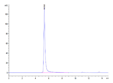 Recombinant Human CD20 Protein