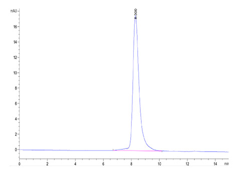 Recombinant Mouse GAS-6 Protein