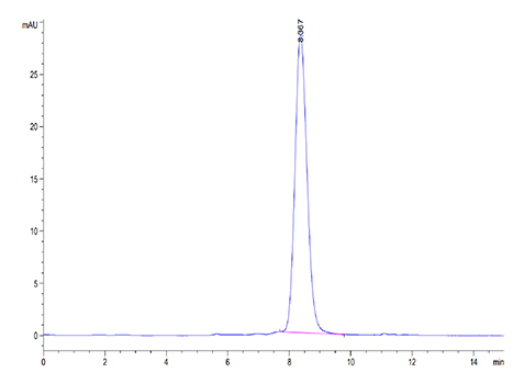 Recombinant Mouse FSH Beta Protein
