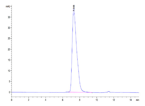 Recombinant Human Glycophorin-A/GYPA/CD235a protein