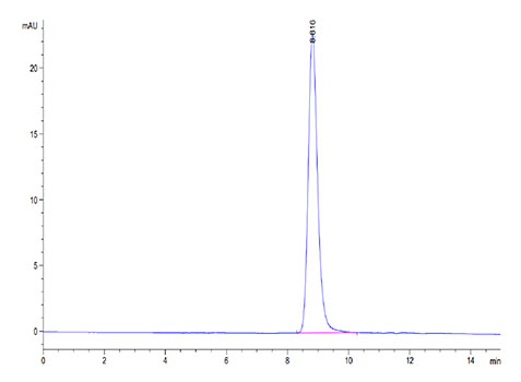 Recombinant Mouse LRG1 Protein