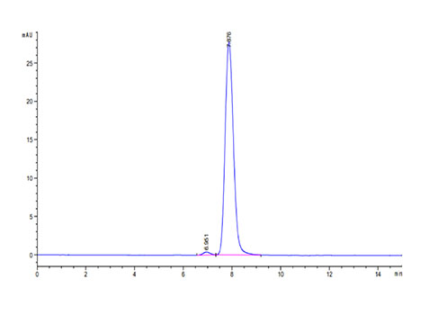 Recombinant Human CD7 Protein