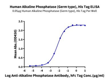 Recombinant Human Alkaline Phosphatase (Germ type) /ALPG Protein